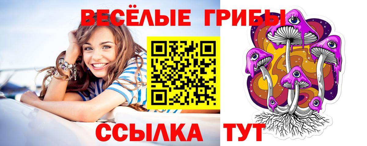 Галлюциногенные грибы Magic Shrooms  Вход с VPN  Лабинск  купить закладку  Псилоцибиновые грибы GOLDEN TEACHER 